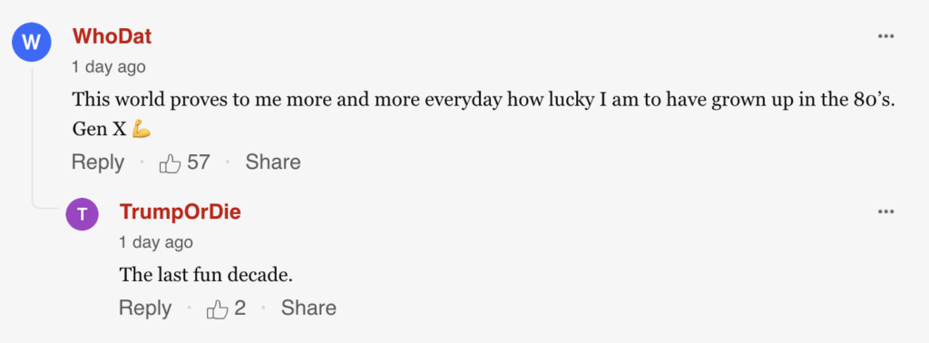 article comment